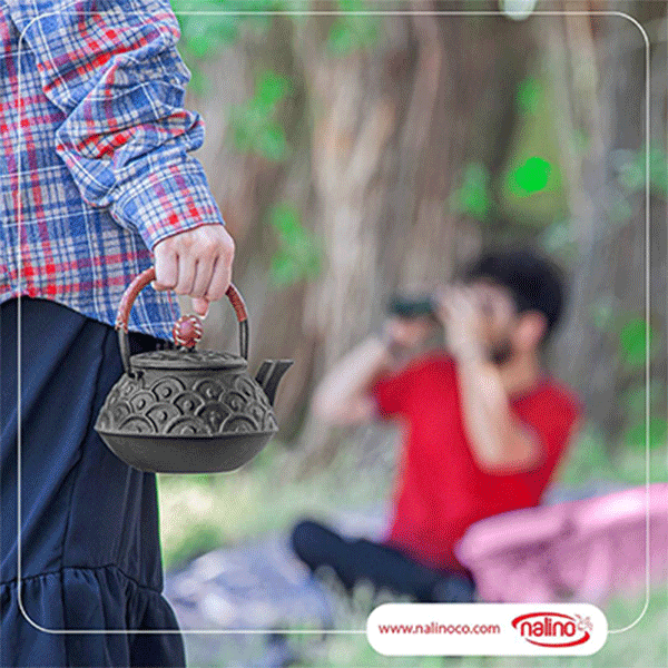 کتری چدن نالینو مدل Fiorenza